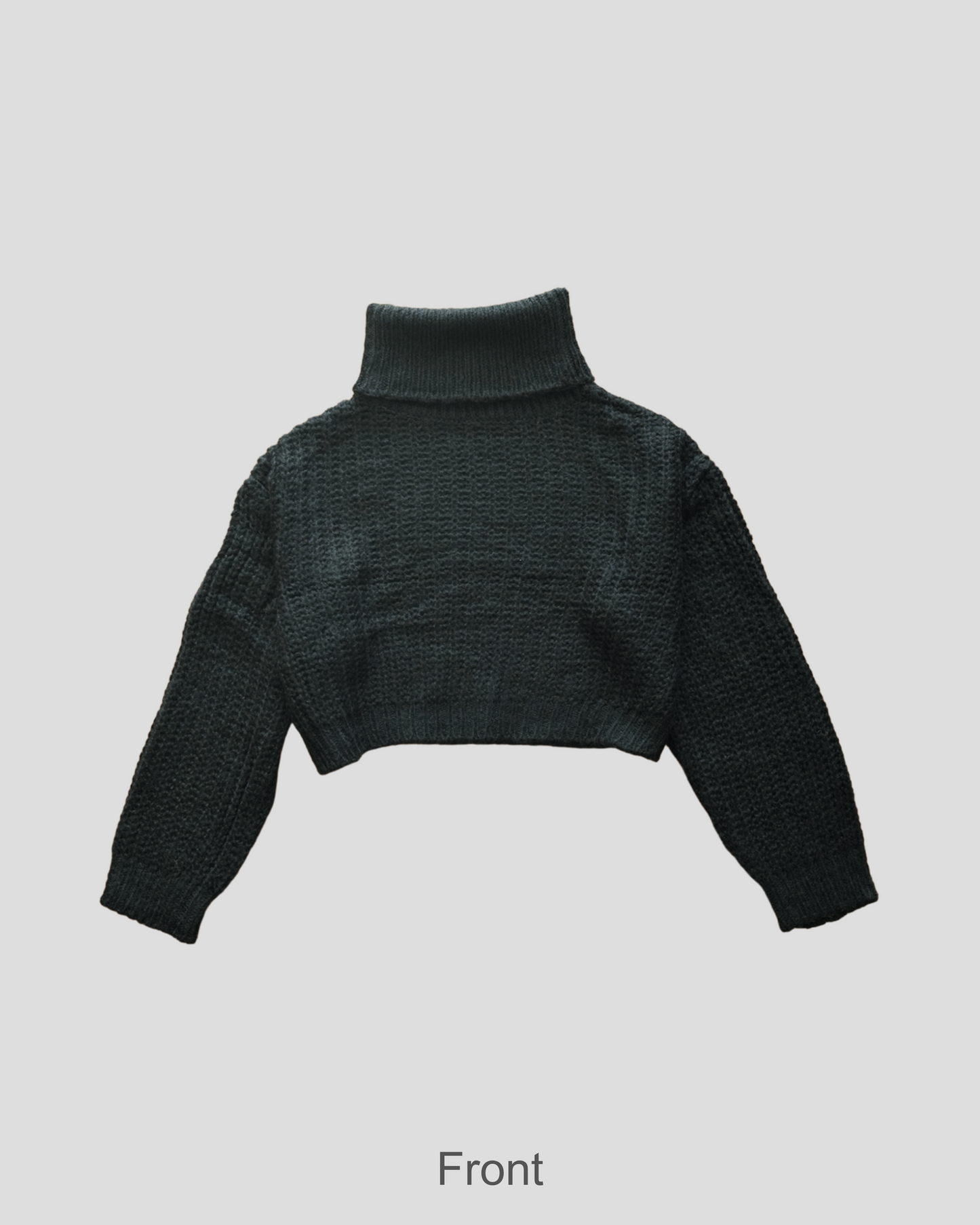 Turtle neck knit crop sweater